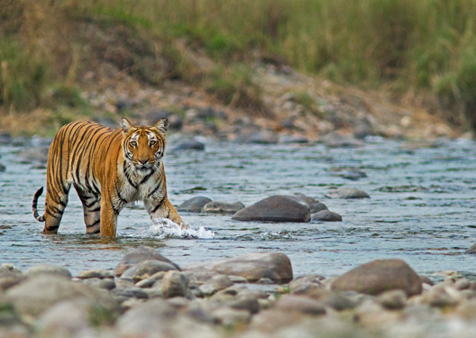 traveldilse-Awesome Uttarakhand